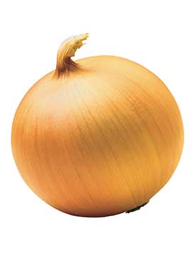 Certified Onions Member
